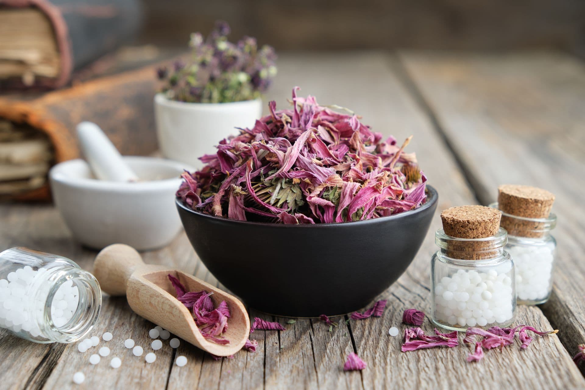 Co odkaża drogi moczowe?